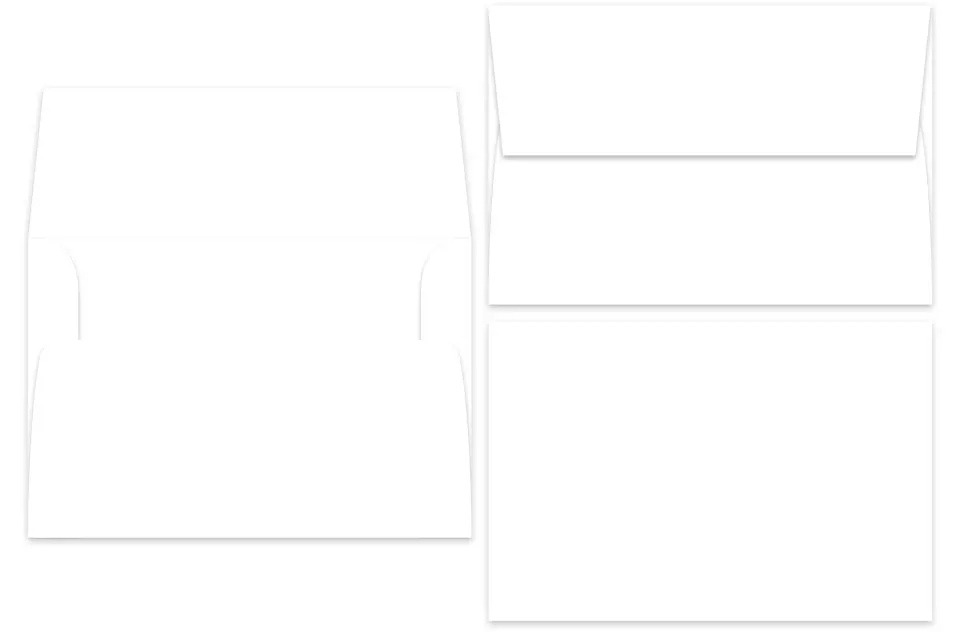 This is a 5.5 x 8.125 Additional Envelope called Additional Envelopes (Kraft) 5.5 x 8.125 printed in full color