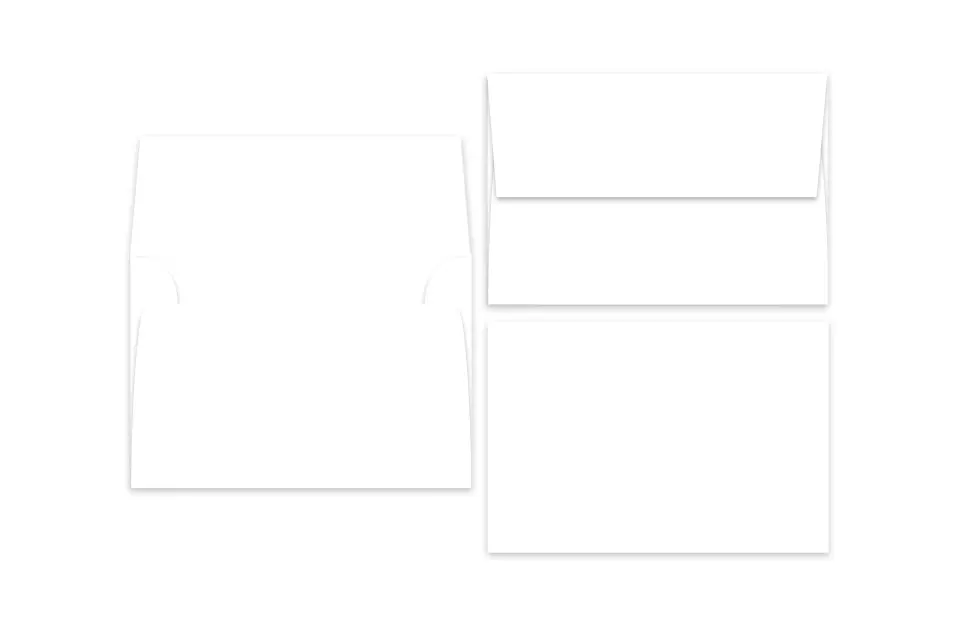 This is a 4.25 x 6.25 Additional Envelope called Additional Envelopes (Pearl) 4.25 x 6.25 printed in full color