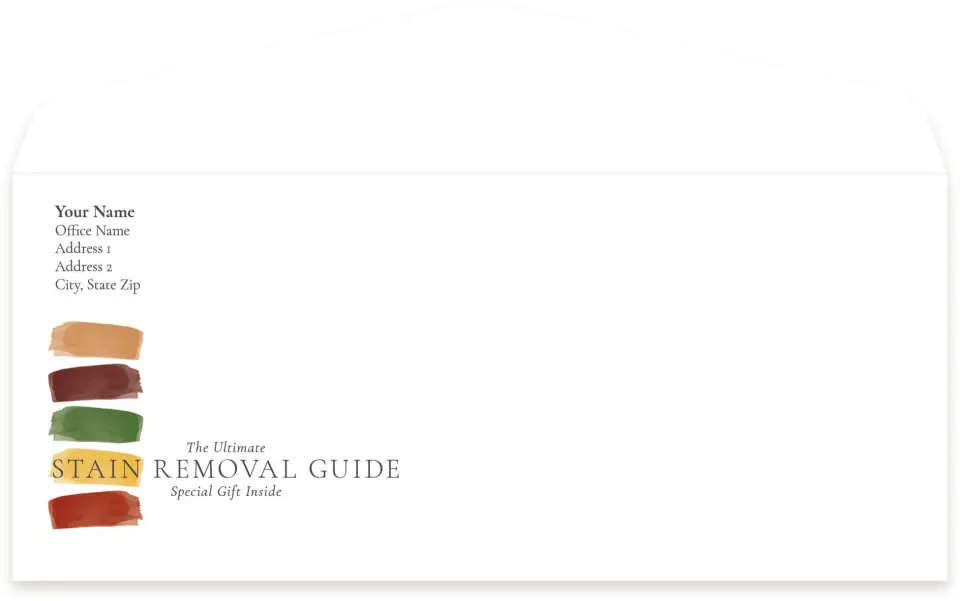 This is a 4.125 x 9.5 Baseball Envelope called Guide to Stains printed in full color