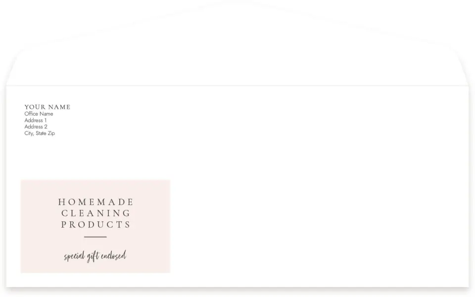 This is a 4.125 x 9.5 Business Envelope called Homemade Cleaning printed in full color