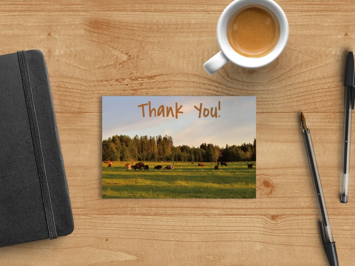 Large Thank You Cards