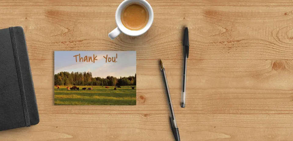 Large Thank You Cards