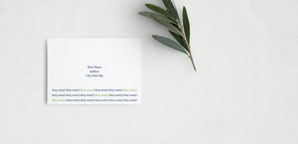 RSVP Postcard Mailing Side