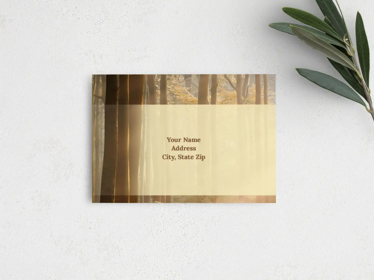 RSVP Postcard Mailing Side