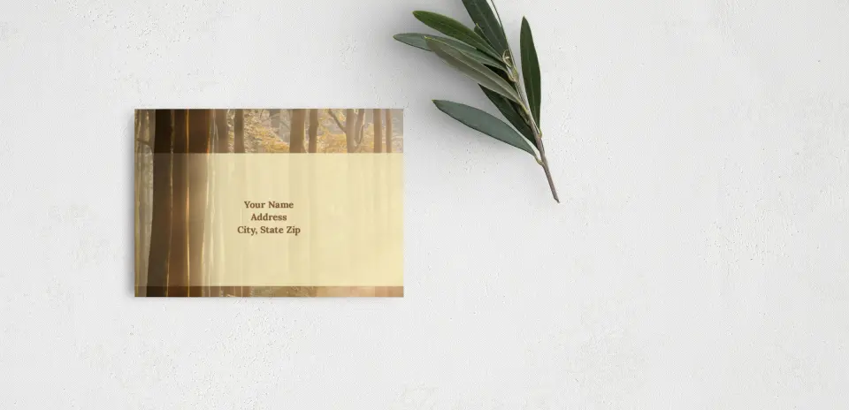 RSVP Postcard Mailing Side