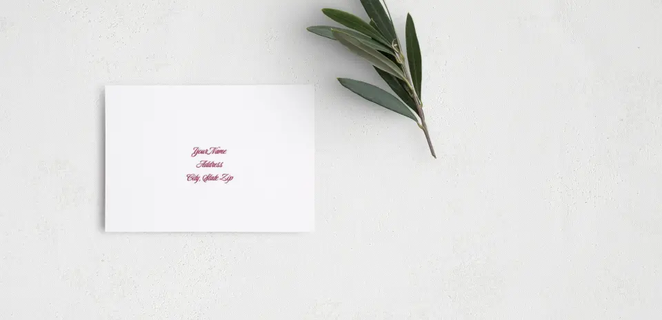 RSVP Postcard Mailing Side