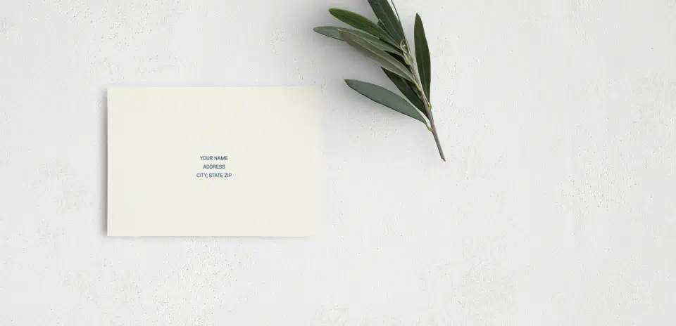 RSVP Postcard Mailing Side