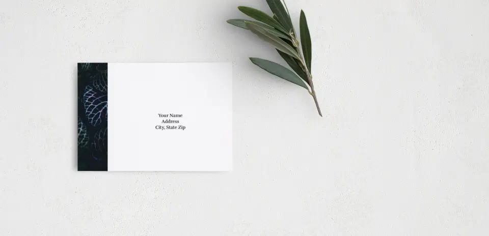 RSVP Postcard Mailing Side
