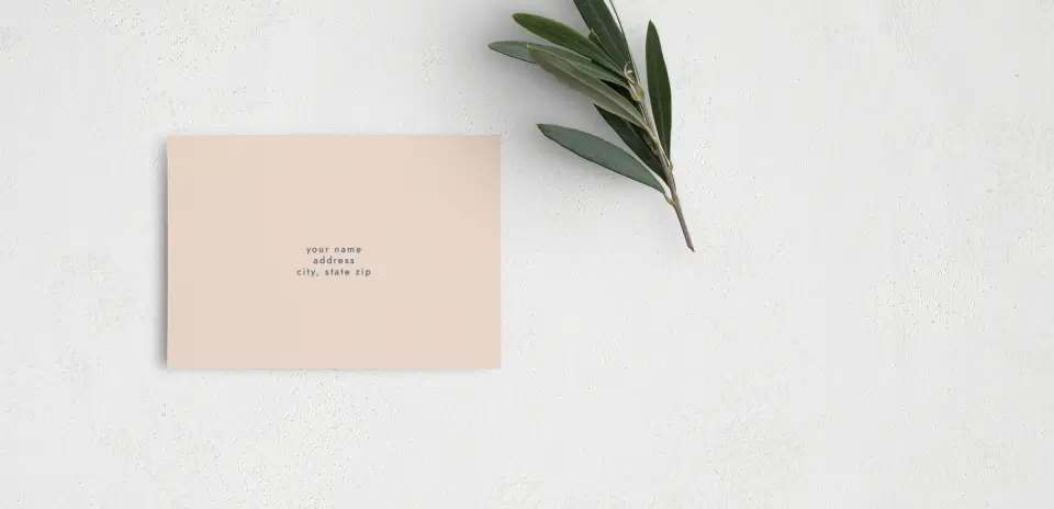 RSVP Postcard Mailing Side