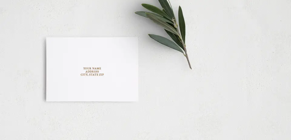 RSVP Postcard Mailing Side
