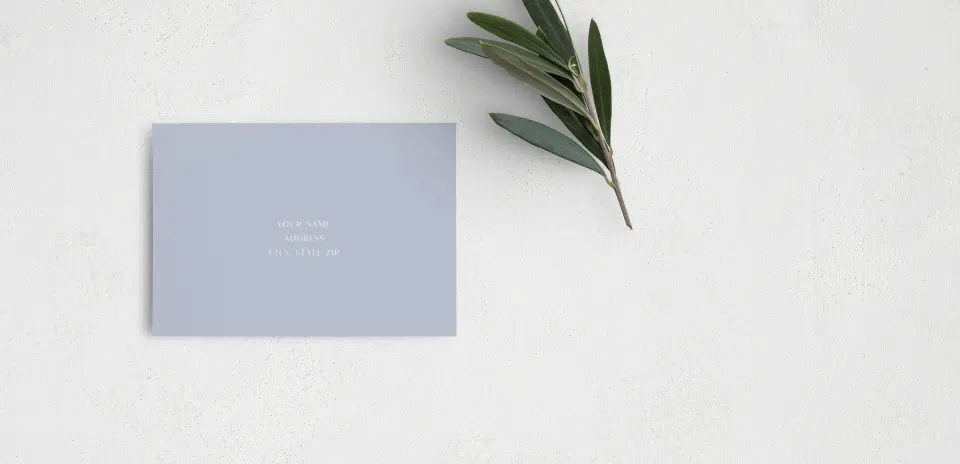 RSVP Postcard Mailing Side
