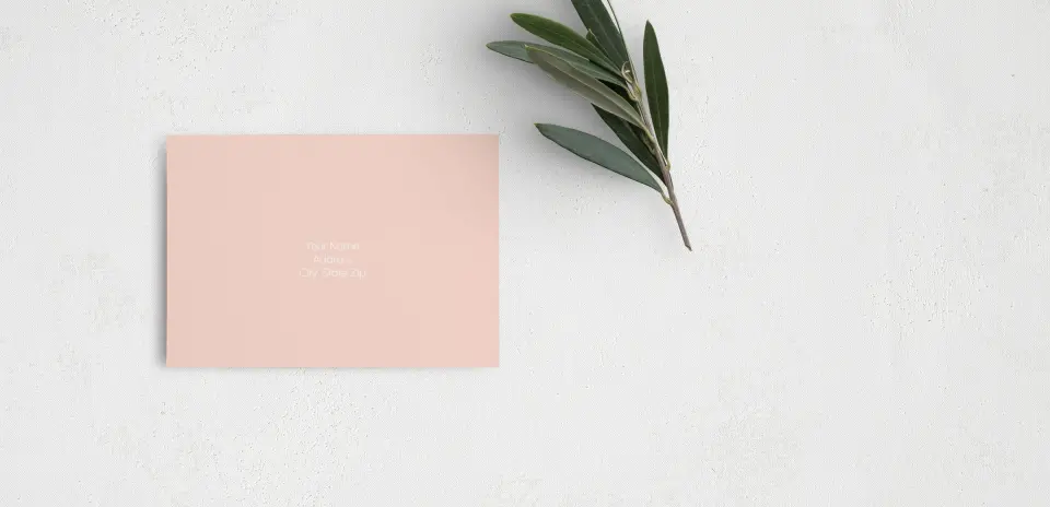 RSVP Postcard Mailing Side