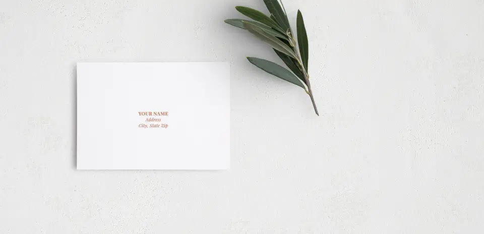 RSVP Postcard Mailing Side