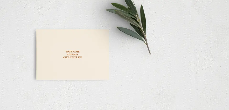 RSVP Postcard Mailing Side