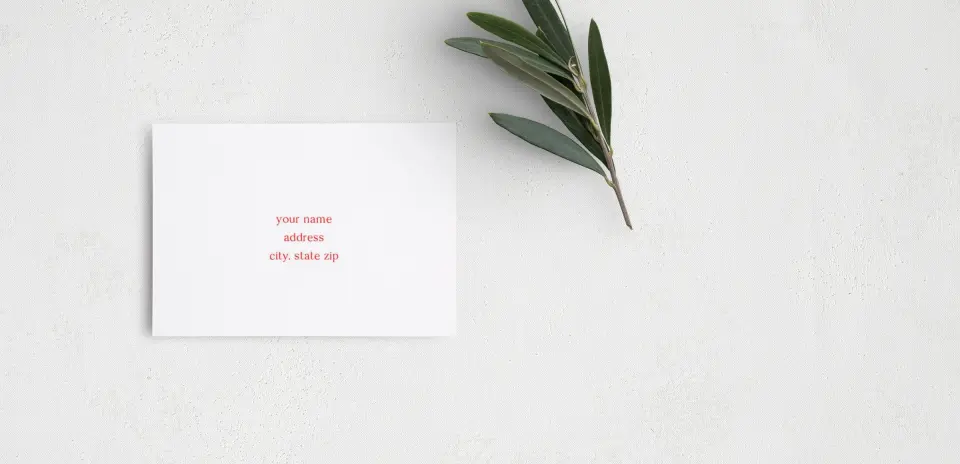 RSVP Postcard Mailing Side