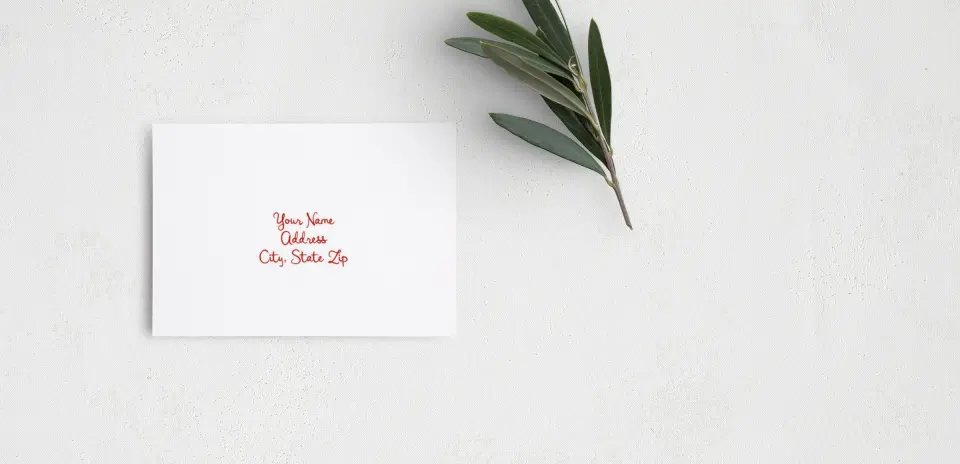 RSVP Postcard Mailing Side