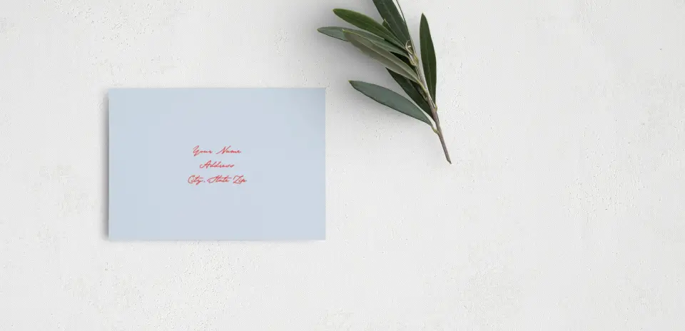 RSVP Postcard Mailing Side