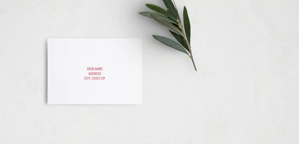 RSVP Postcard Mailing Side