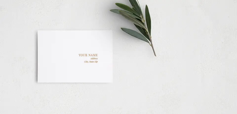 RSVP Postcard Mailing Side
