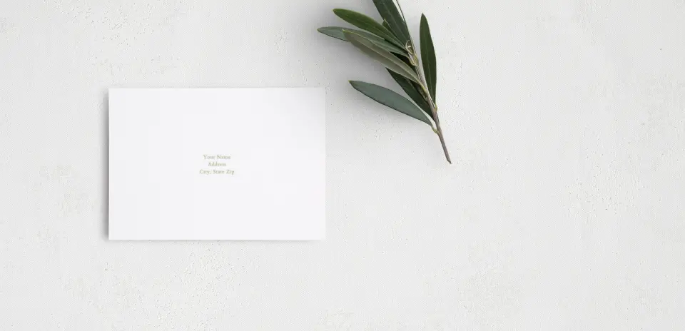 RSVP Postcard Mailing Side