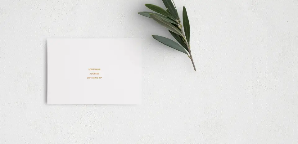 RSVP Postcard Mailing Side