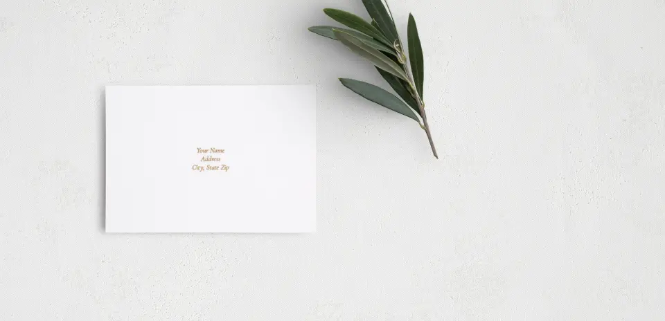 RSVP Postcard Mailing Side
