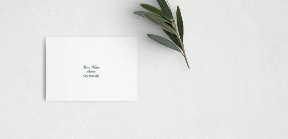 RSVP Postcard Mailing Side