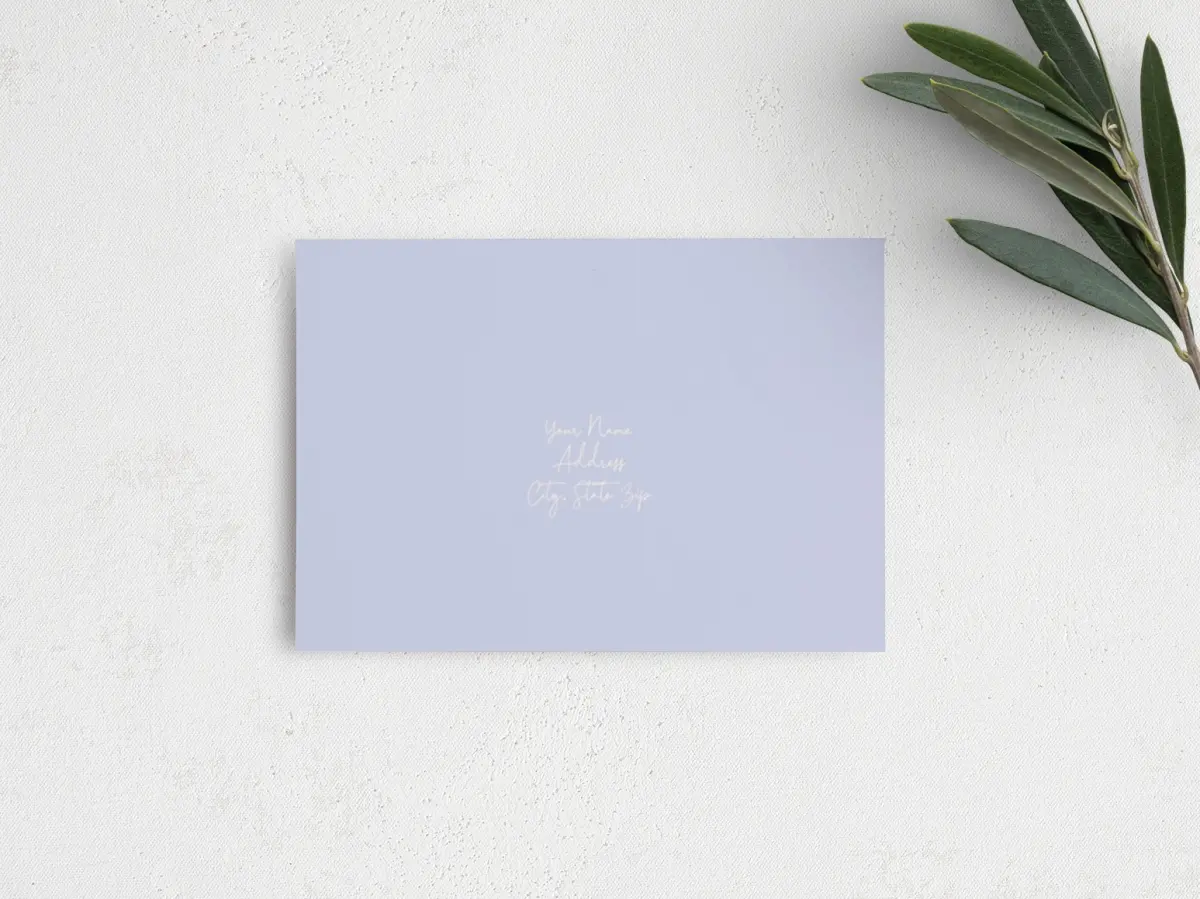 RSVP Postcard Mailing Side