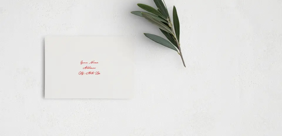 RSVP Postcard Mailing Side