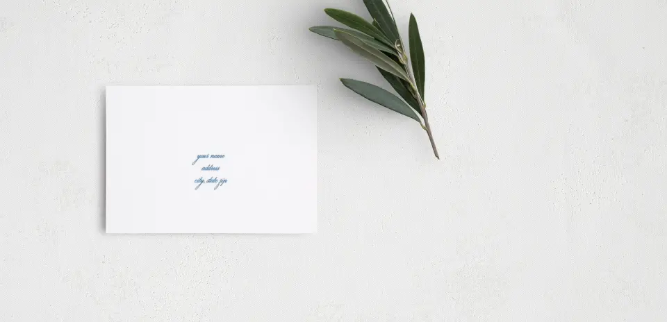 RSVP Postcard Mailing Side