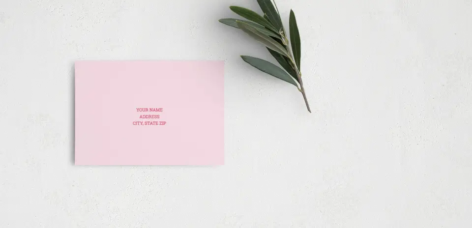 RSVP Postcard Mailing Side