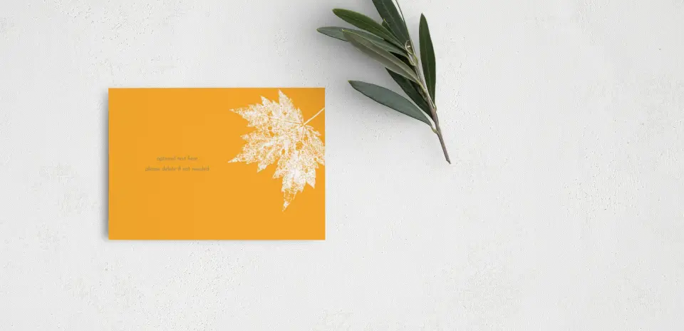 Guest Information Card Back View