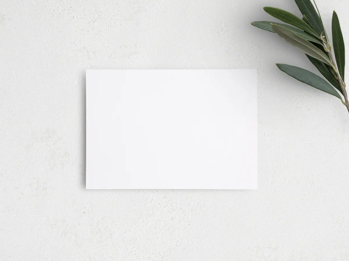 Guest Information Card Back View