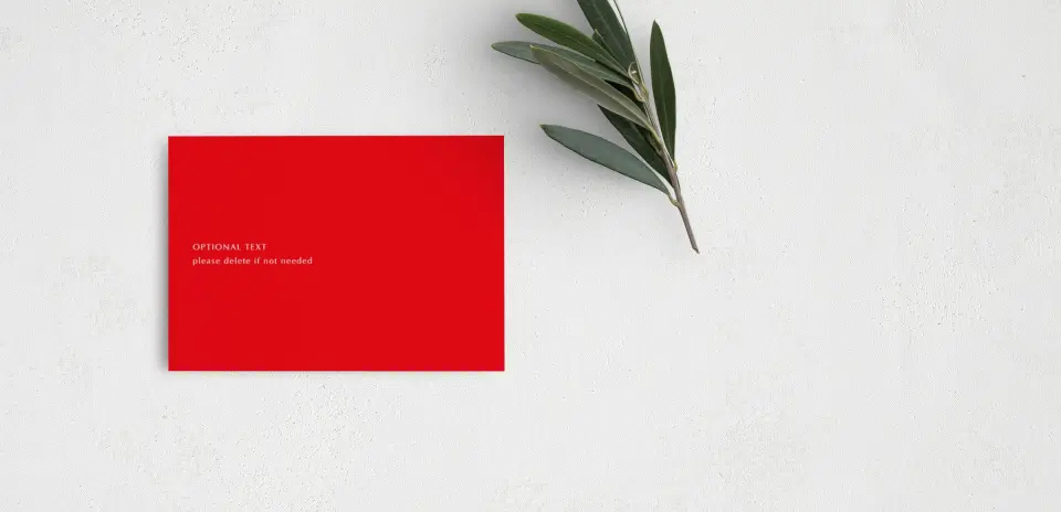 Guest Information Card Back View
