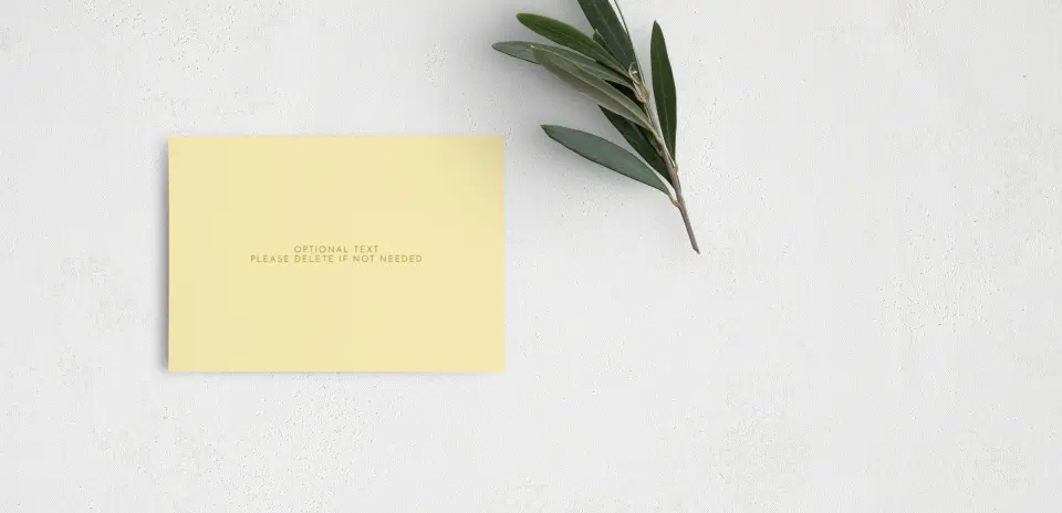 Guest Information Card Back View
