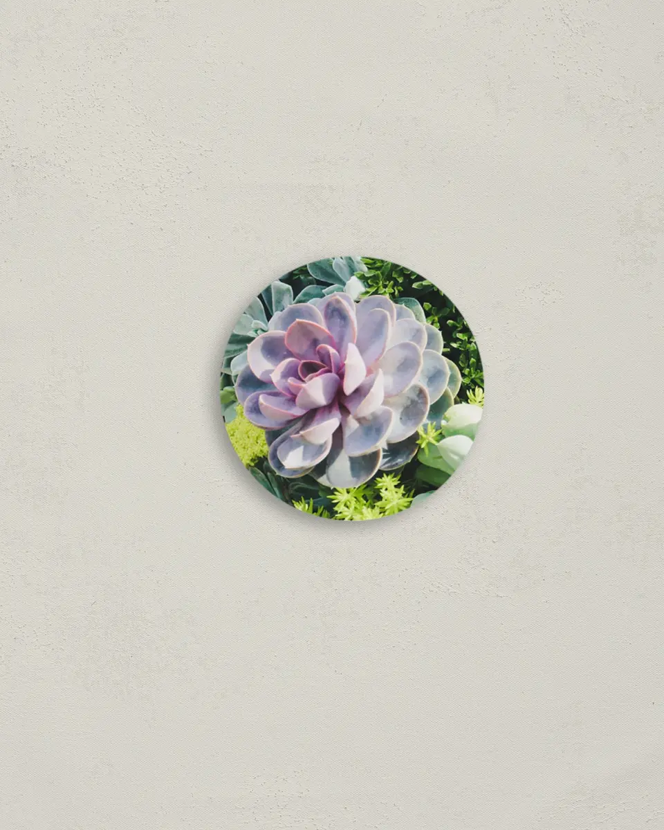 This is a 2" circle Envelope Seal called Sophisticated Succulents printed in full color