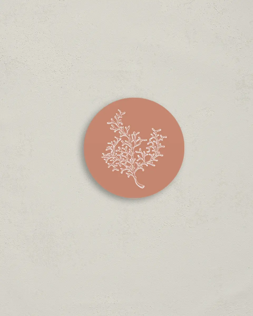 This is a 2" circle Envelope Seal called Tropical Heaven printed in full color