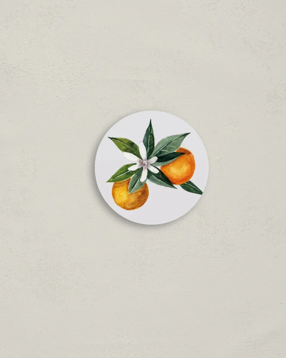 This is a 2" circle Envelope Seal called Mod Citrus printed in full color