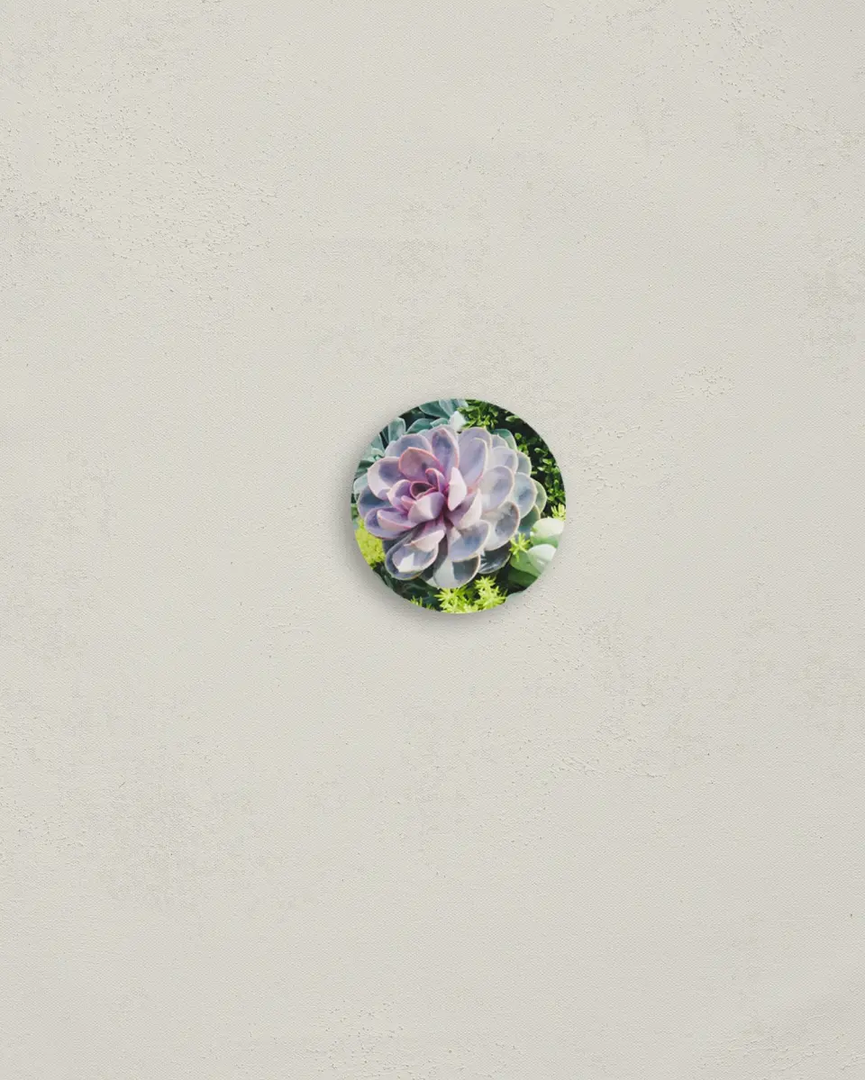 This is a 1¼" circle Envelope Seal called Sophisticated Succulents printed in full color