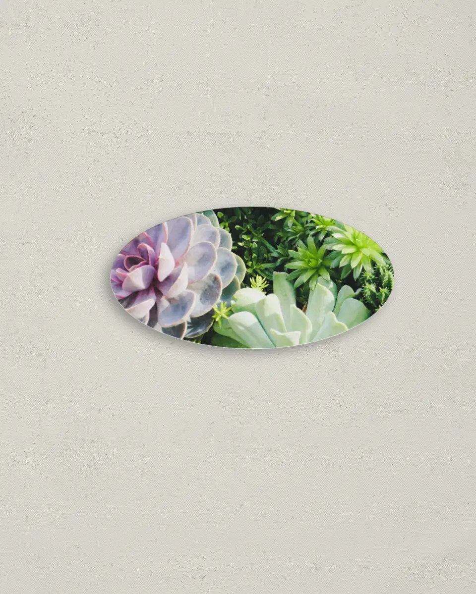 This is a 3" x 1½" Envelope Seal called Sophisticated Succulents printed in full color