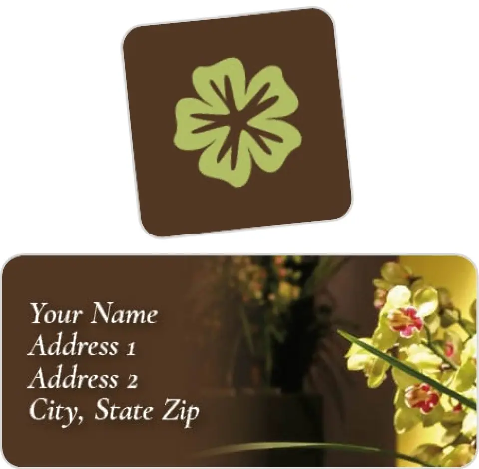 This is a 2¼" x 1" Labels; 1" x 1" Seals Return Address Label called Couch & Flower Background printed in full color