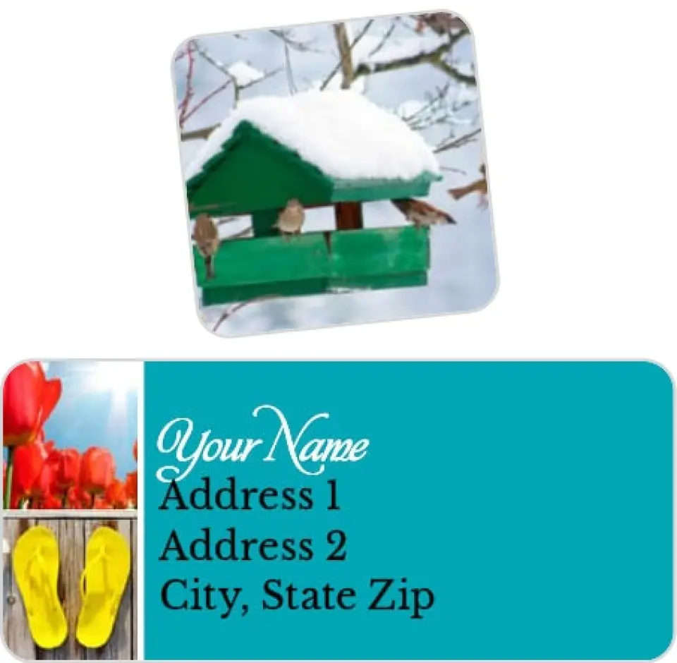 This is a 2¼" x 1" Labels; 1" x 1" Seals Return Address Label called Stunning Snapshots printed in full color