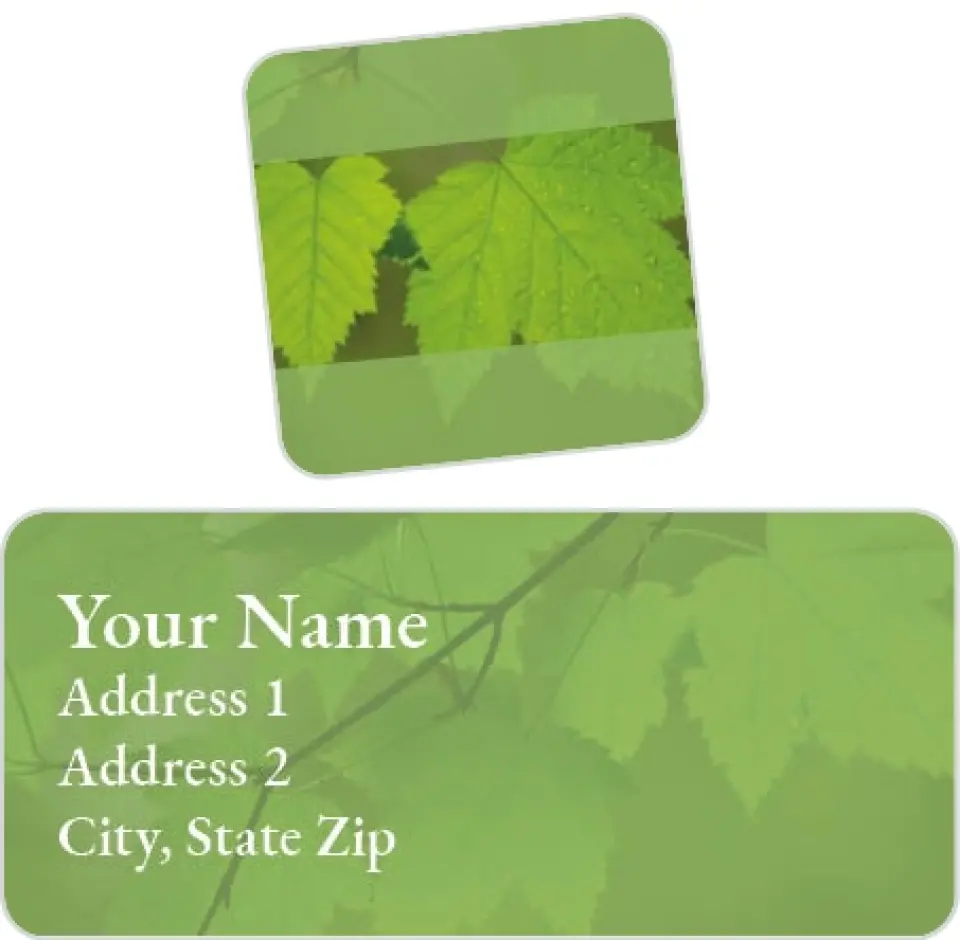 This is a 2¼" x 1" Labels; 1" x 1" Seals Return Address Label called Green Tree Branch printed in full color