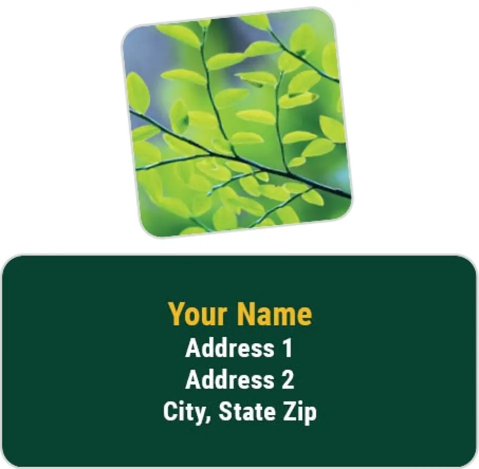 This is a 2¼" x 1" Labels; 1" x 1" Seals Return Address Label called Four Seasons, Important Dates printed in full color