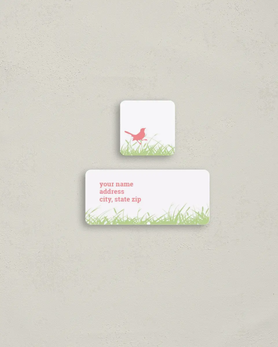This is a 2¼" x 1" Labels; 1" x 1" Seals Return Address Label called Birdies printed in full color