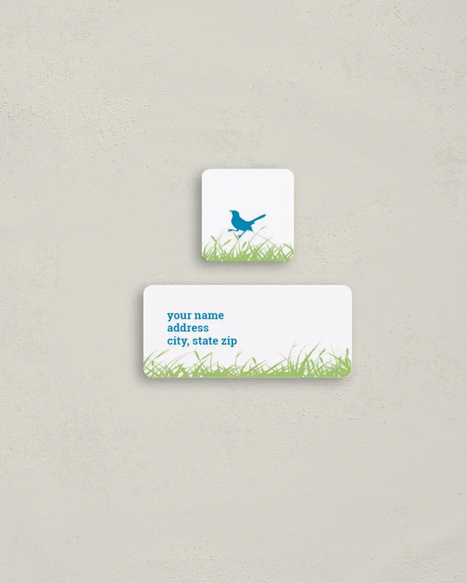 This is a 2¼" x 1" Labels; 1" x 1" Seals Return Address Label called Birdies printed in full color
