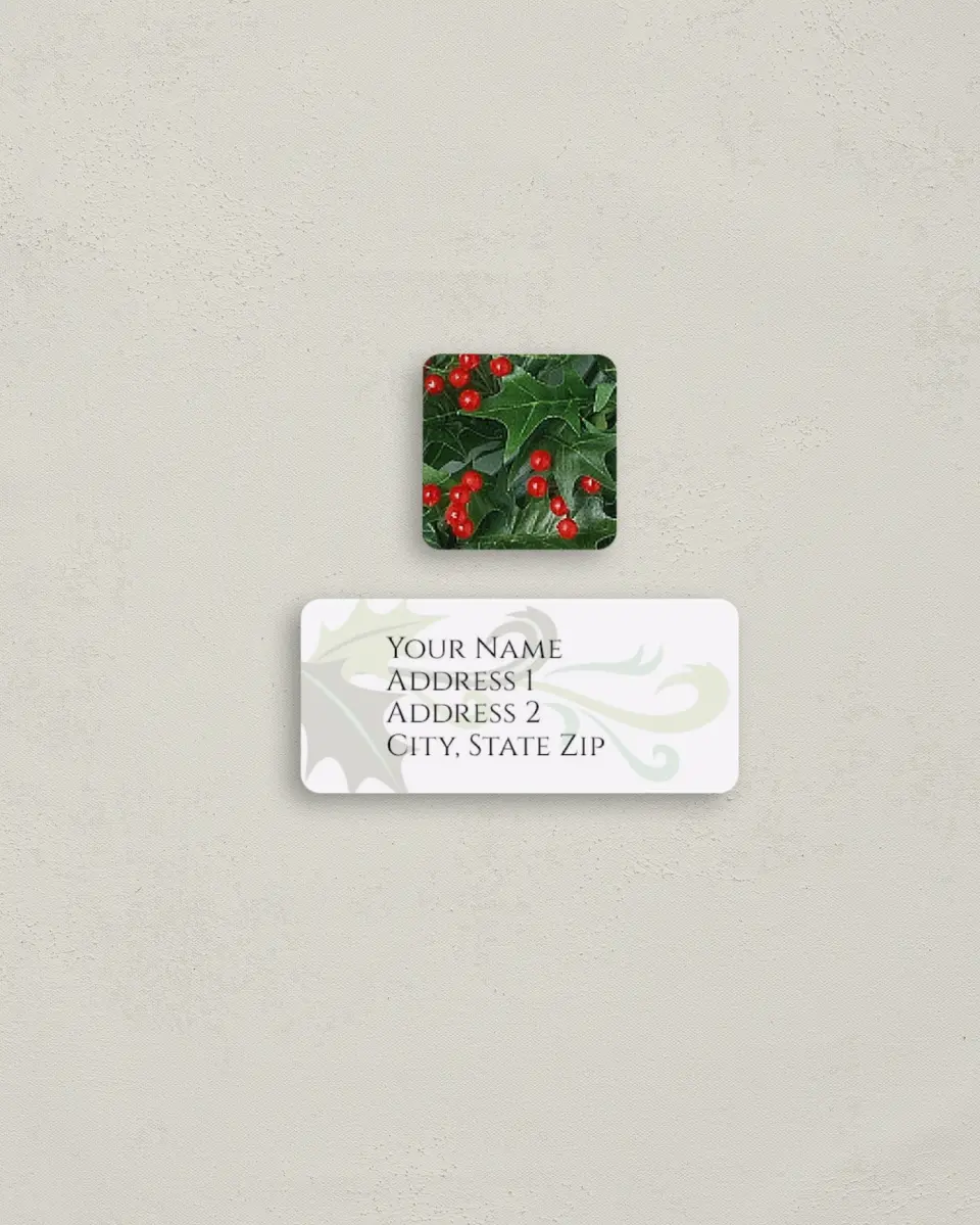 This is a 2¼" x 1" Labels; 1" x 1" Seals Return Address Label called Holiday Cheer printed in full color