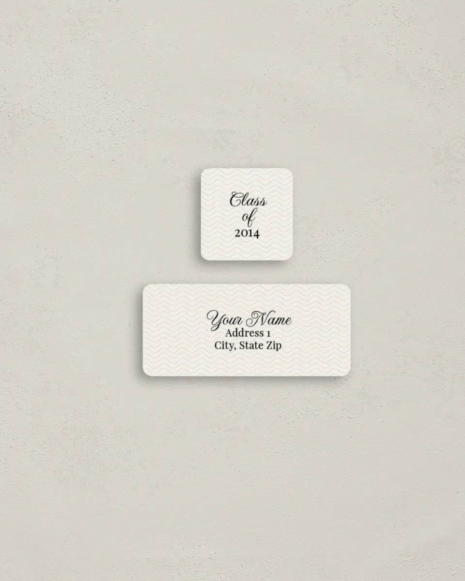 This is a 2¼" x 1" Labels; 1" x 1" Seals Return Address Label called 10 Year Reunion printed in full color