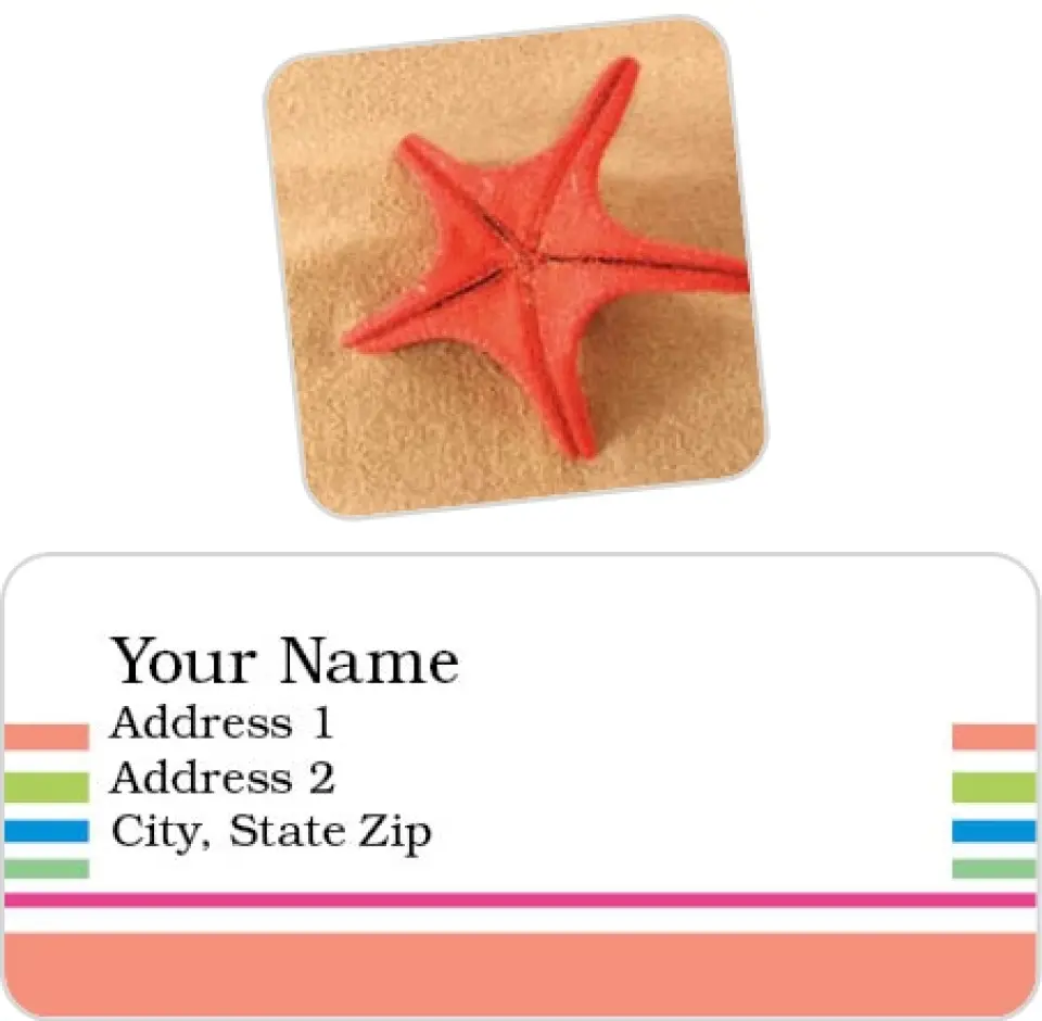 This is a 2¼" x 1" Labels; 1" x 1" Seals Return Address Labels & Seal Set called Beach Murals printed in full color