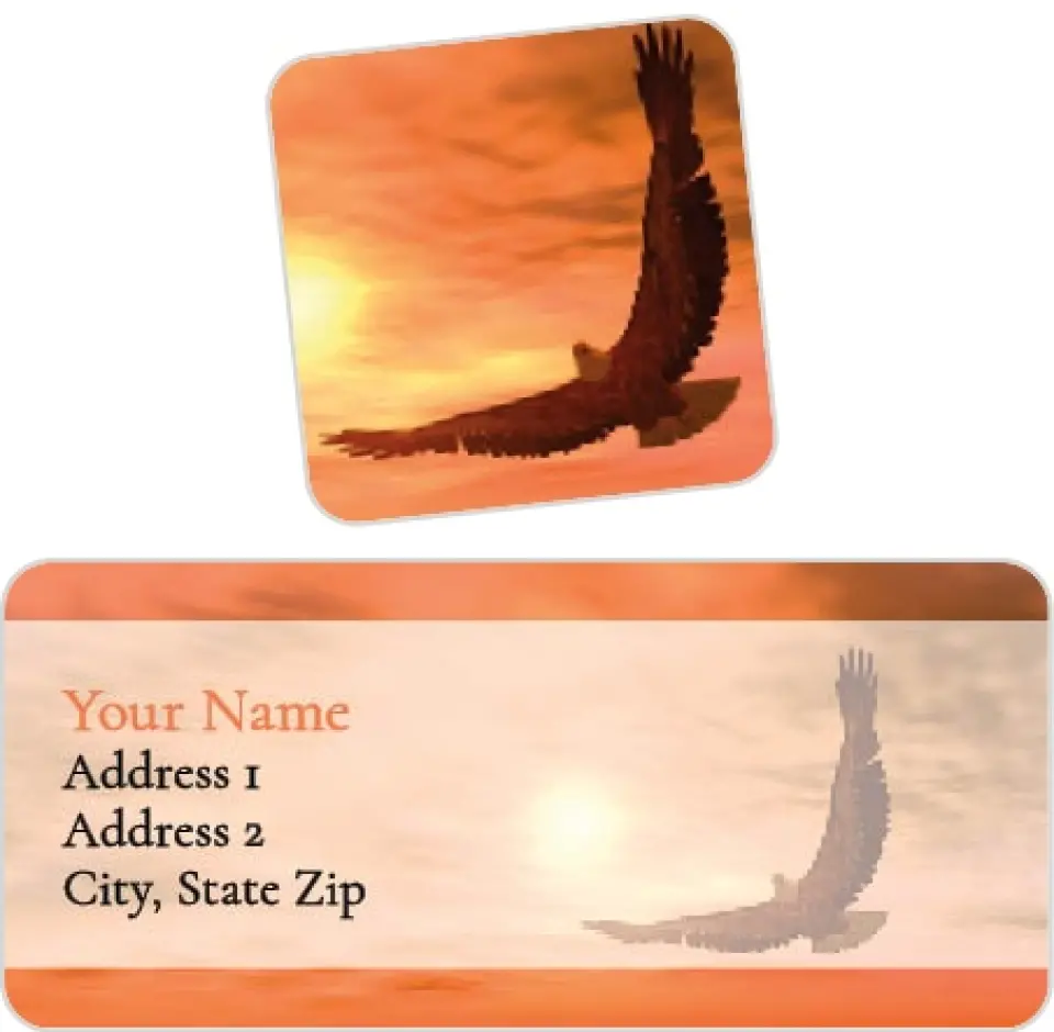 This is a 2¼" x 1" Labels; 1" x 1" Seals Return Address Labels & Seal Set called Soaring Eagle printed in full color